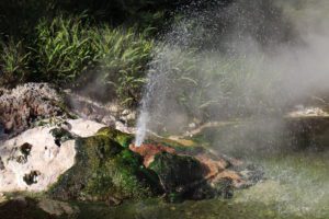 Waimangu Volcanic Valley