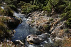 Waimangu Volcanic Valley