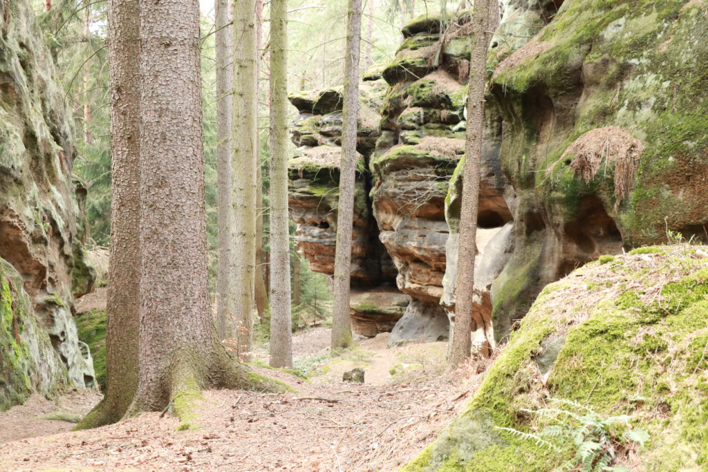 Felsenlabyrinth Langenhennersdorf