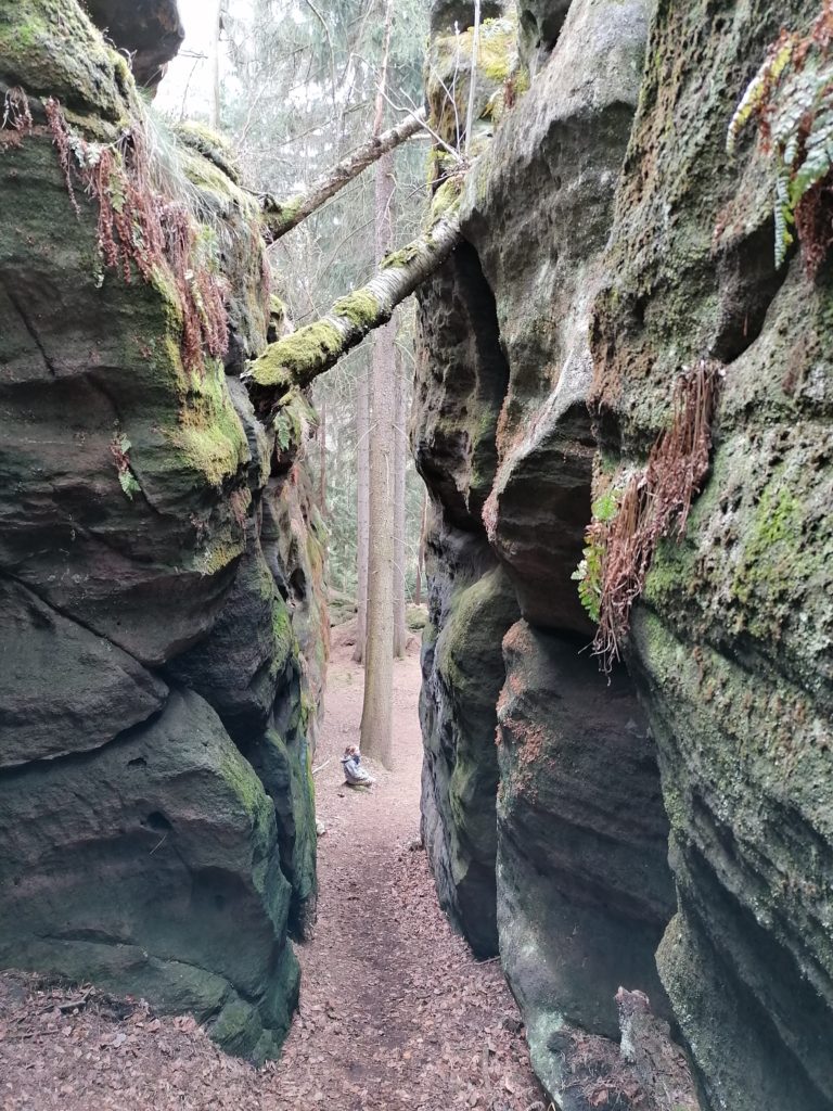 Forststeigac Nikolsdorfer Wände