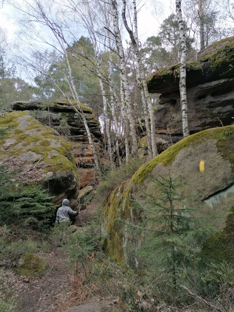 Forststeig Nikolsdorfer Wände