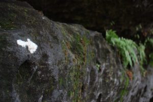 Felsenlabyrinth Langenhennersdorf