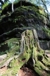 Felsenlabyrinth Langenhennersdorf