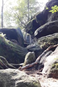 Felsenlabyrinth Langenhennersdorf & Nikolsdorfer Wände: perfekt für Kids! 4