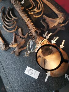 IMG_20220827_115954 Odense Møntergården