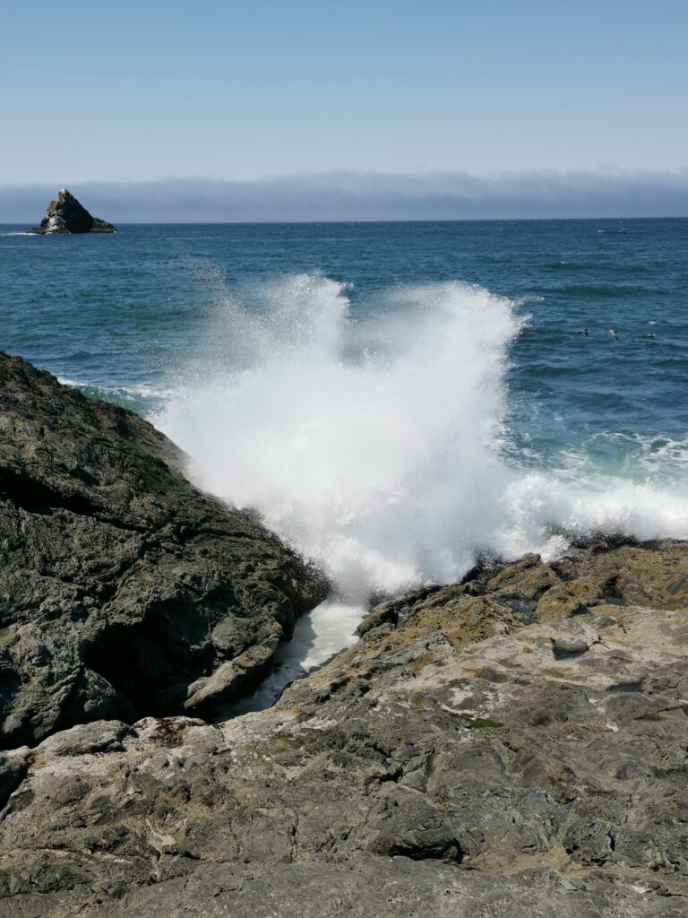 Oregon Agate Beach Welle