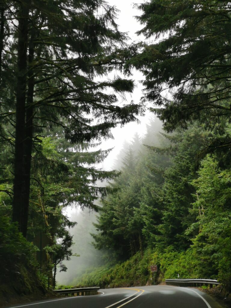Oregon Coast Straße mit Nebel