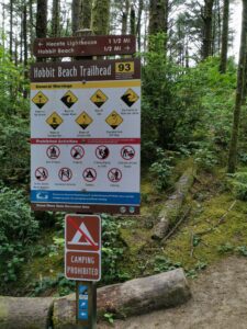 Camping in Oregon Hobbit Trail