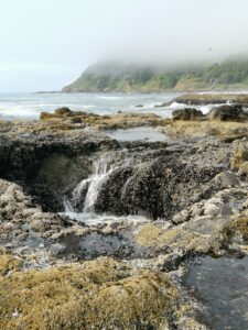 Oregon Coast Thors Well Yachats