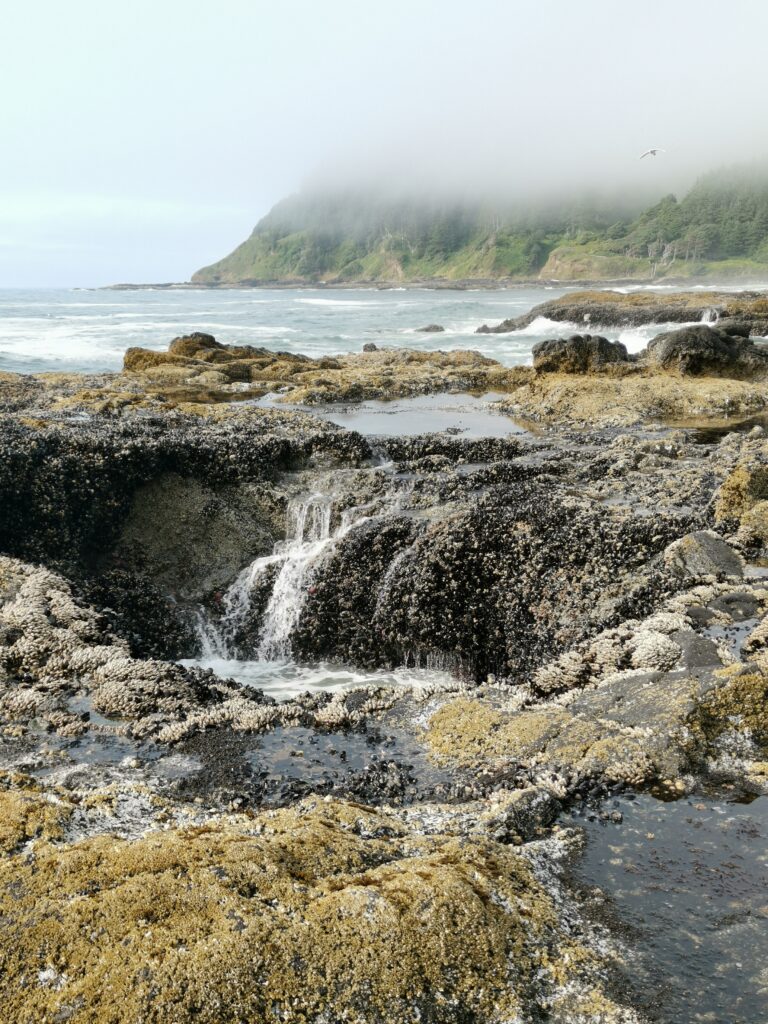 Oregon Coast Thors Well Yachats