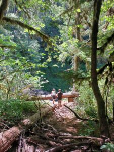 Silver Falls State Park in Oregon