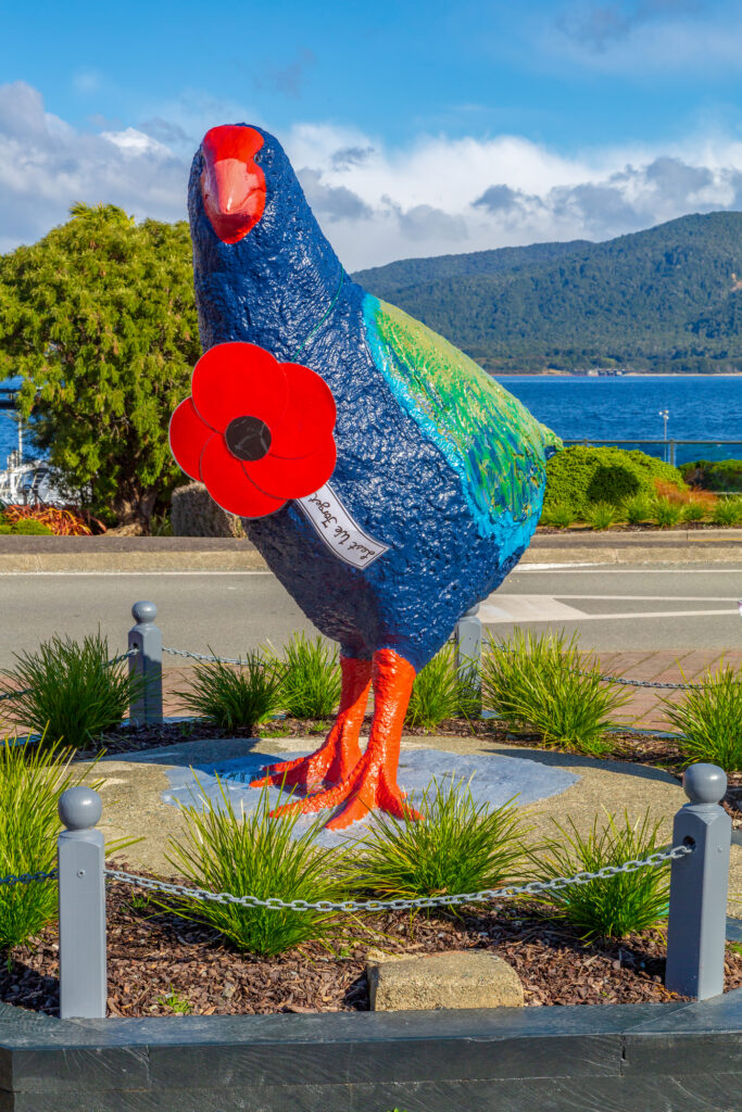 Takahe im Te Anau Bird Sanctuary