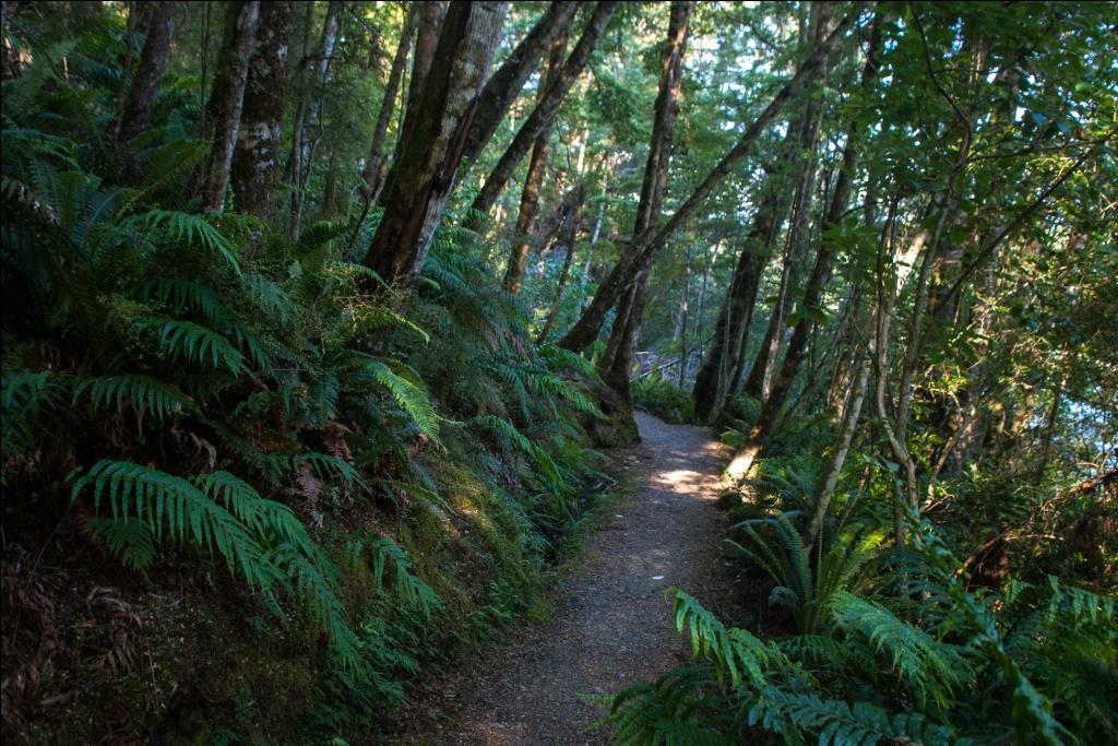 Kepler Track Fiordland Neuseeland