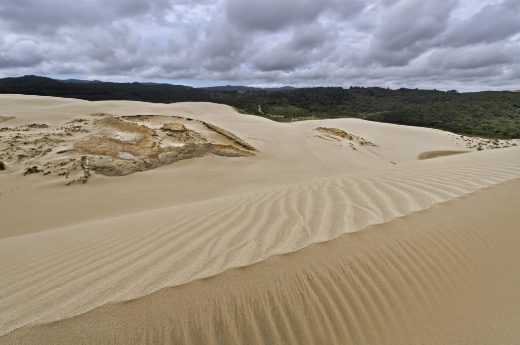 Cape Reinga und 90 Mile Beach: Lohnt sich das für Familien? 26 Te Paki Sand Dunes