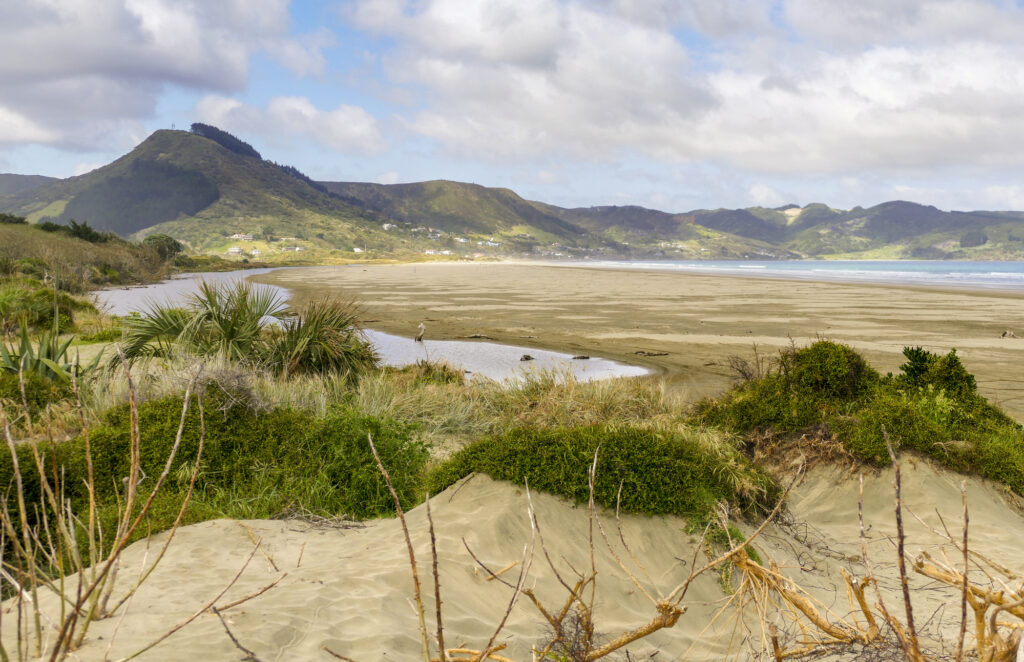 Cape Reinga und 90 Mile Beach: Lohnt sich das für Familien? 29 Cape Reinga Te Werahi Beach