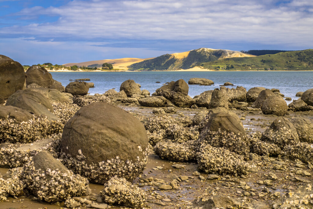 Cape Reinga und 90 Mile Beach: Lohnt sich das für Familien? 32 Northland Hokianga Harbour