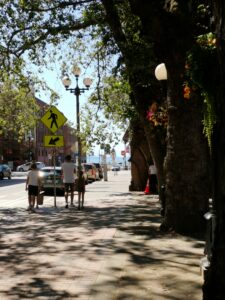 Seattle in 3 Tagen: unsere Highlights in der Emerald City 8