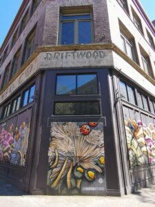 Seattle in 3 Tagen: unsere Highlights in der Emerald City 7