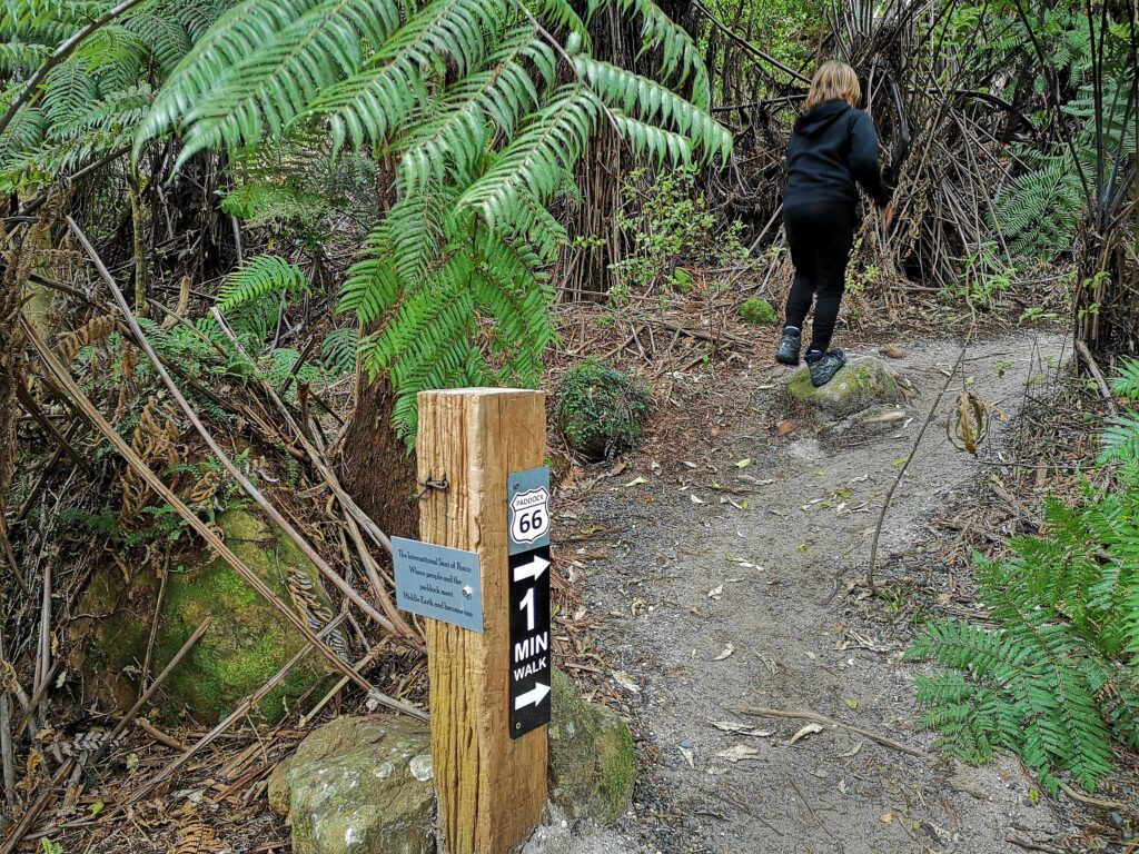 Wairere Falls Neuseeland Nordinsel