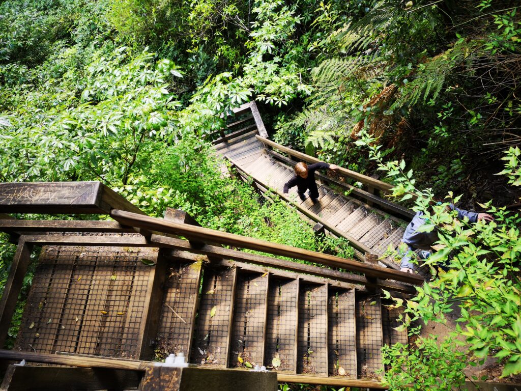 Wairere Falls Neuseeland Nordinsel