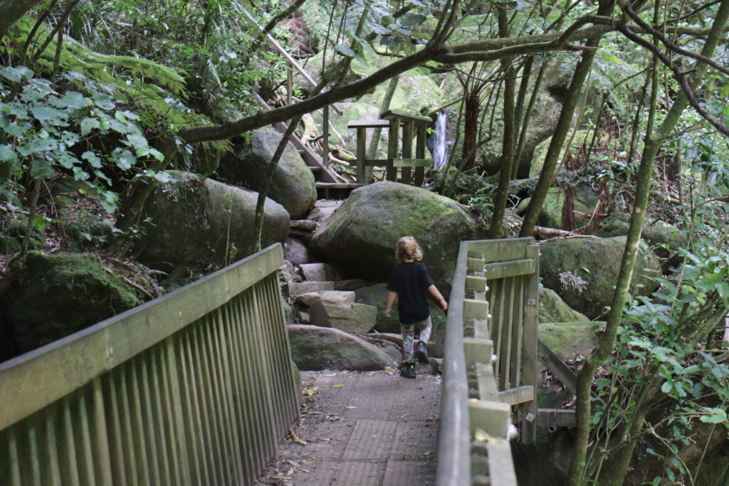 Wairere Falls Neuseeland Nordinsel