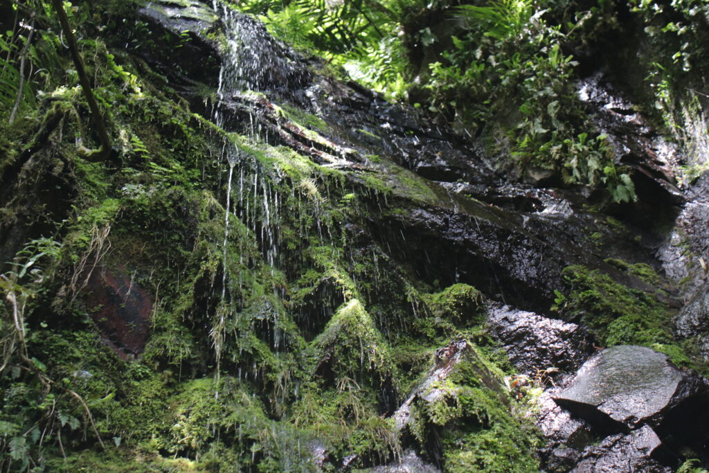 Wairere Falls Neuseeland Nordinsel