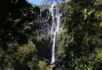 Wairere Falls Neuseeland Nordinsel