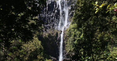 Wairere Falls Neuseeland Nordinsel