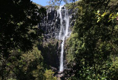 Wairere Falls Neuseeland Nordinsel
