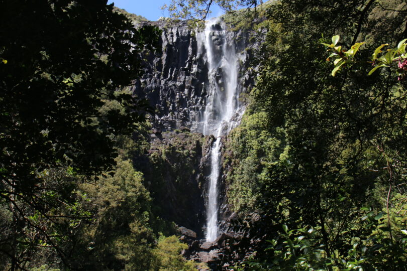 Wairere Falls Neuseeland Nordinsel