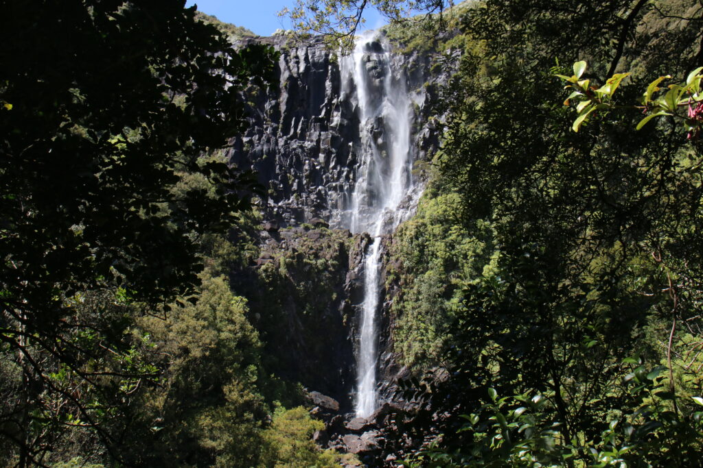 Wairere Falls Neuseeland Nordinsel