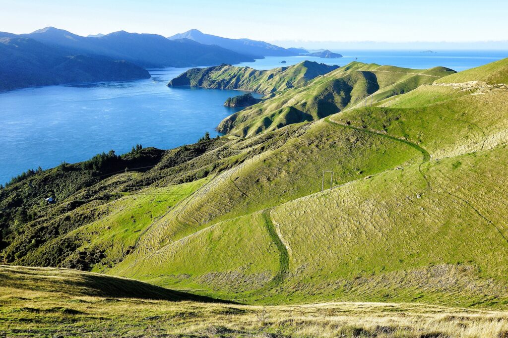 Gravel Roads in Neuseeland French Pass