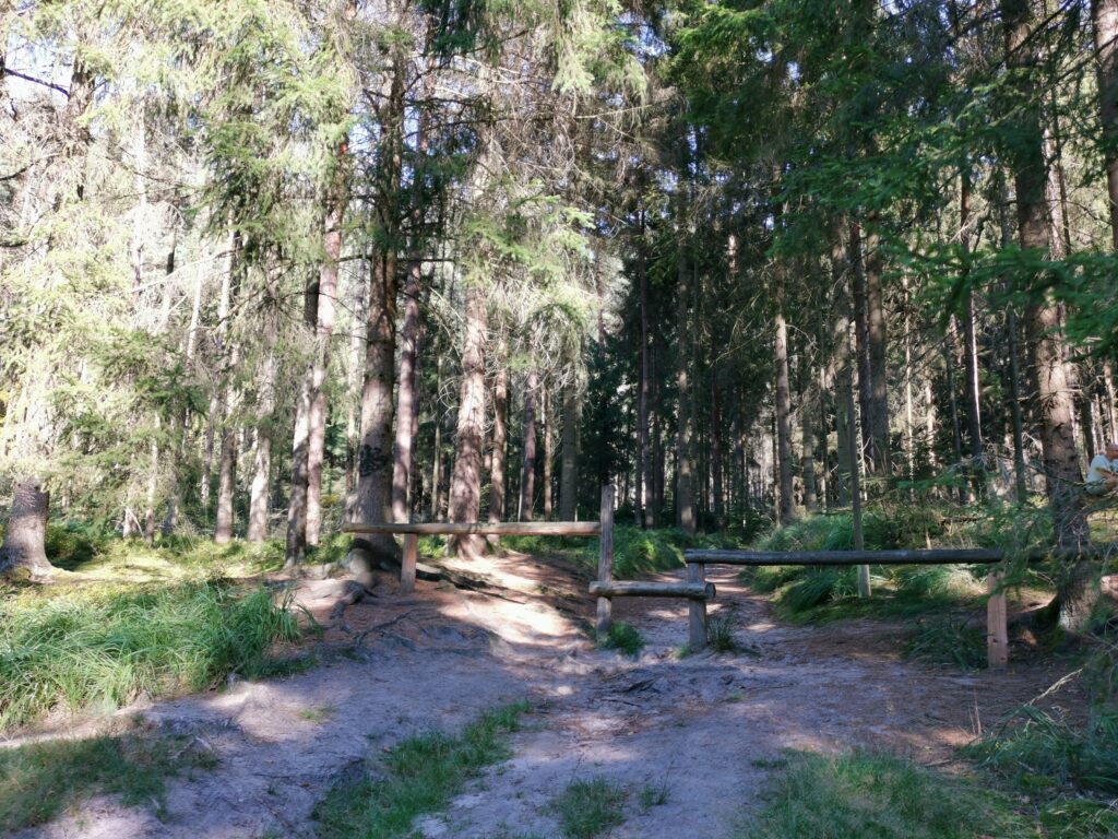 Sächsische Schweiz Rübezahlstiege