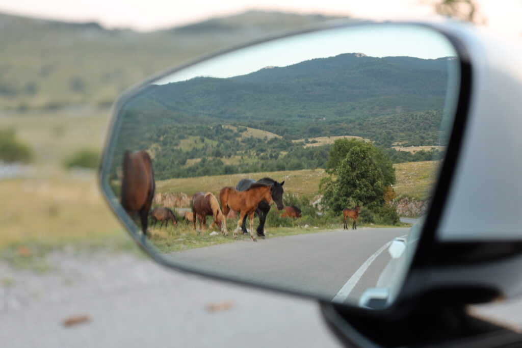 Kroatien im E-Auto