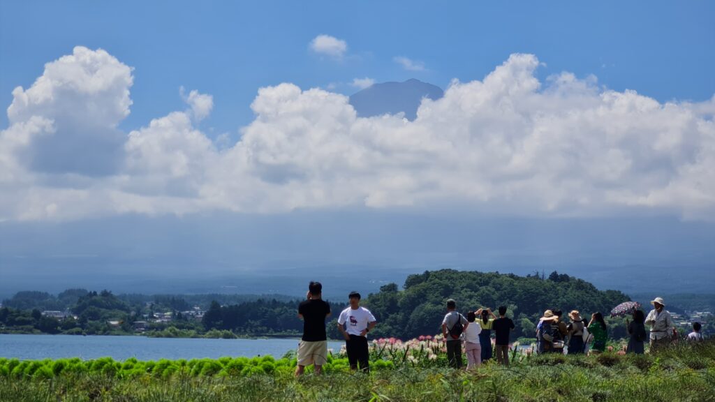 Japanreise mit Teenagern im Camper