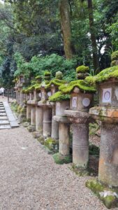 Reisebericht Japan CREDIT Aikaterini Antoniadou (6) Japanreise mit Teenagern im Camper