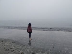 Oregon Coast Samuel H. Boardman State Corridor