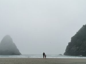 Oregon Coast Samuel H. Boardman State Corridor