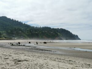 Oregon Coast Neskowin Ghost Forest