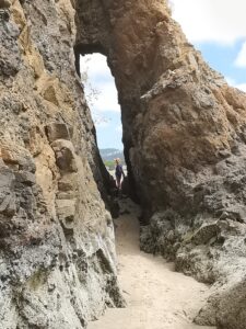 Oregon Coast Neskowin Ghost Forest