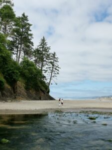 Oregon Coast Neskowin Ghost Forest