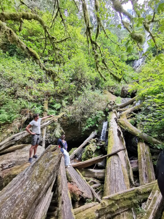 Munson Creek Falls Oregon