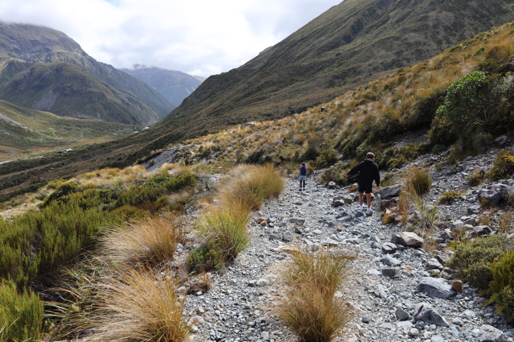 Arthurs Pass