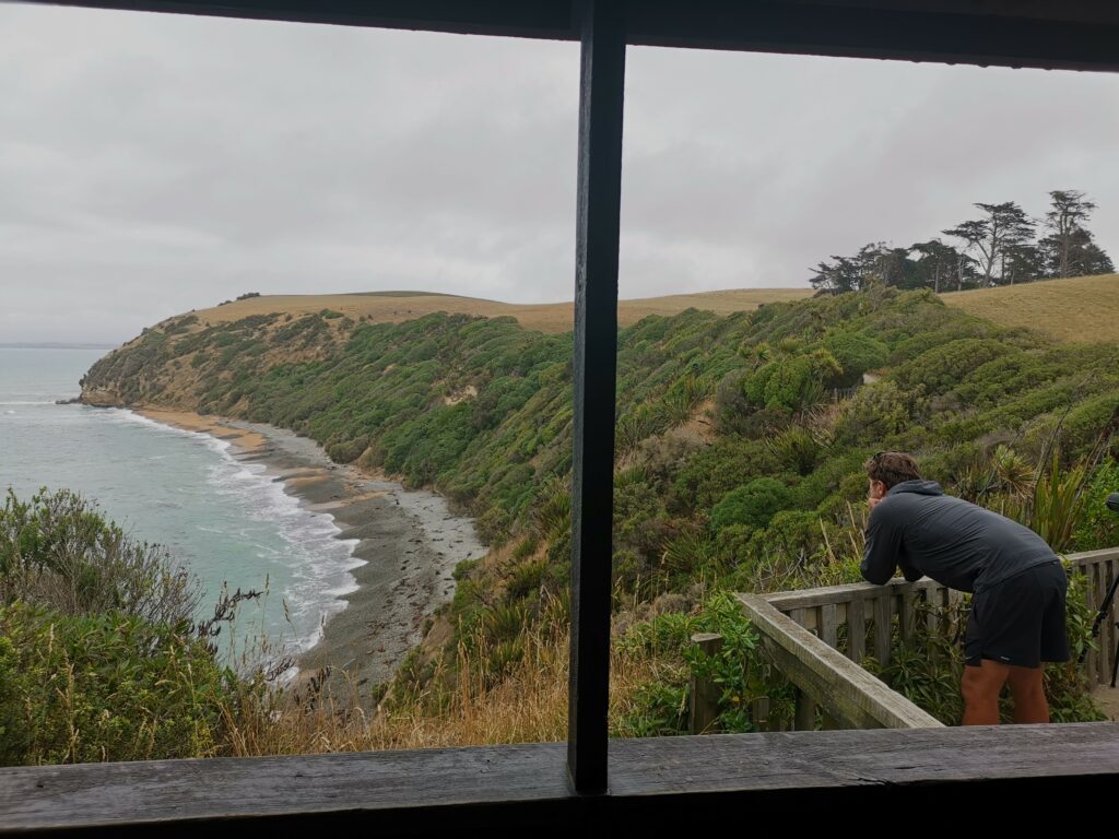 Oamaru Bushy Beach