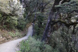 Arthurs Pass Devils Punchbowl Falls Arthurs Pass Devils Punchbowl Falls
