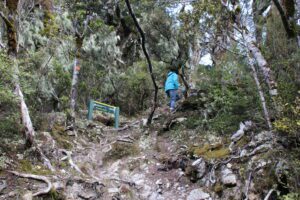 Arthurs Pass Devils Punchbowl Falls Arthurs Pass Devils Punchbowl Falls