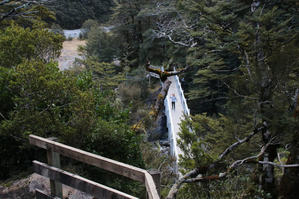 Arthurs Pass Devils Punchbowl Falls