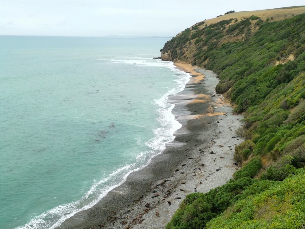 Oamaru Bushy Beach