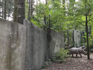 Saurierpark Kleinwelka (4) 22 verlockende Ausflugsziele in Sachsen, die ihr noch nicht kennt - wetten? 31