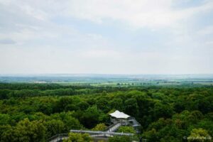 Hainich Aussicht-Baumwipfelpfad-CREDIT Charnette Schnabel Hainich Baumwipfelpfad
